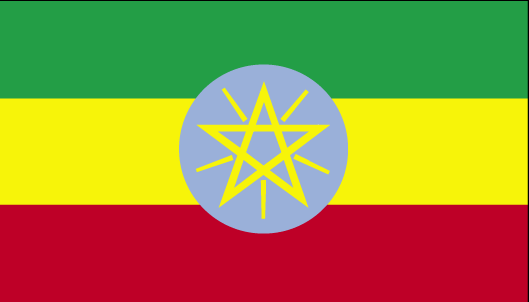 Vehicle Shipping from to Ethiopia